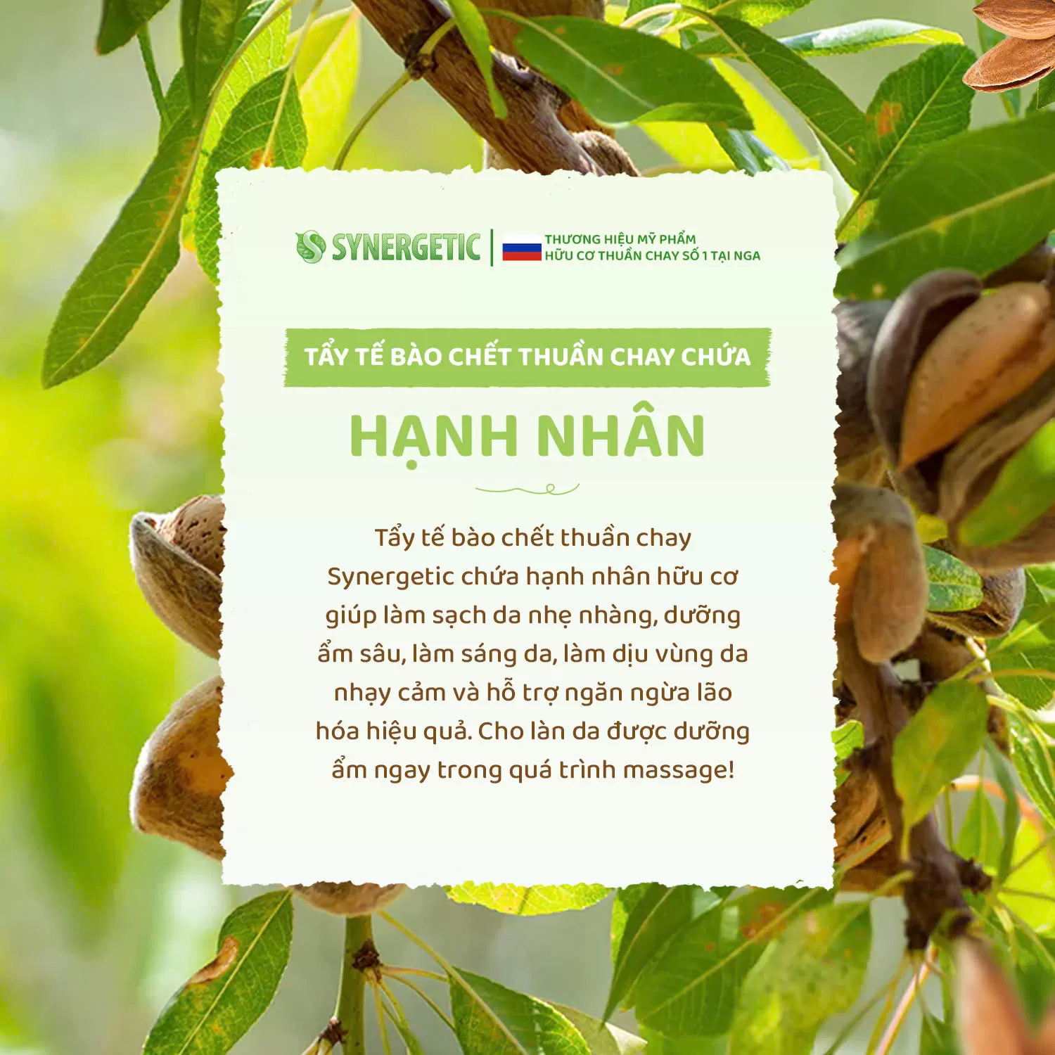 Dưỡng Chất Từ Hạnh Nhân – Bí Quyết Cho Làn Da Mịn Màng Cùng Synergetic